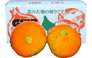 かぼちゃ　朱里(あかり) 