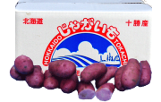 じゃがいも　ノーザンルビーン