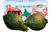 かぼちゃ　ロロン