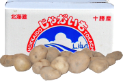 じゃがいも　男爵